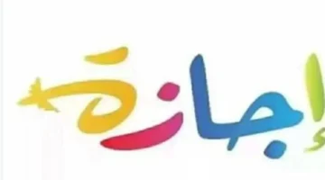 بموجب قانون العمل.. ضوابط منح الإجازات الرسمية لموظفي القطاعين العام والخاص في مصر